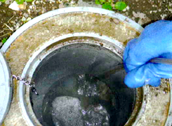排水管洗浄2